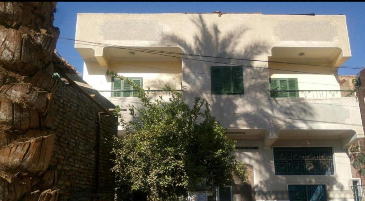 Mastonkel Hotel Aswan Buitenkant foto